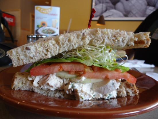 Wildflower Bread Company